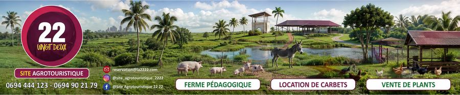 22 Vingt Deux — Site agrotouristique : ferme pédagogique, location de carbets, vente de plants