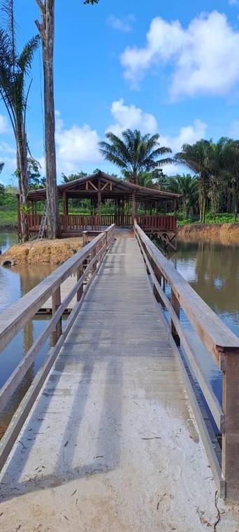 La passerelle en bois au-dessus de l’eau